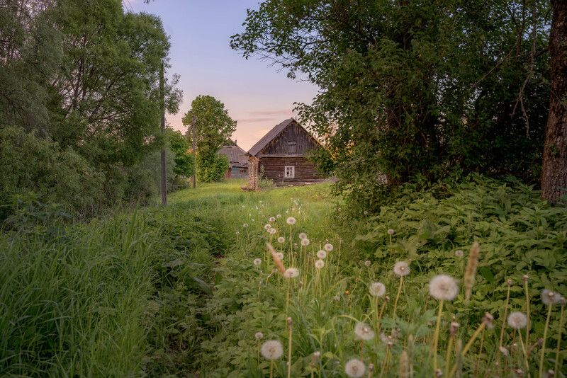 Деревенские прогулкиphoto preview