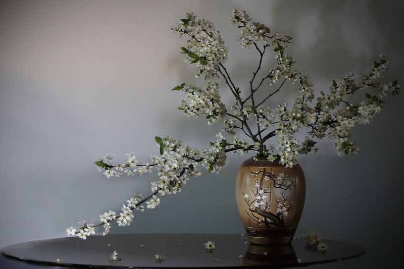 Майский цветphoto preview