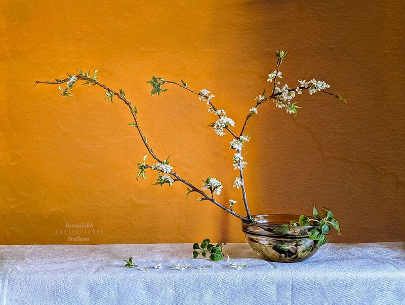 натюрморт, art_photo, минимализм, оранжевый, цветы, весна, японский_стиль, ветки, фото на окне, фото на телефон Цветение весныphoto preview