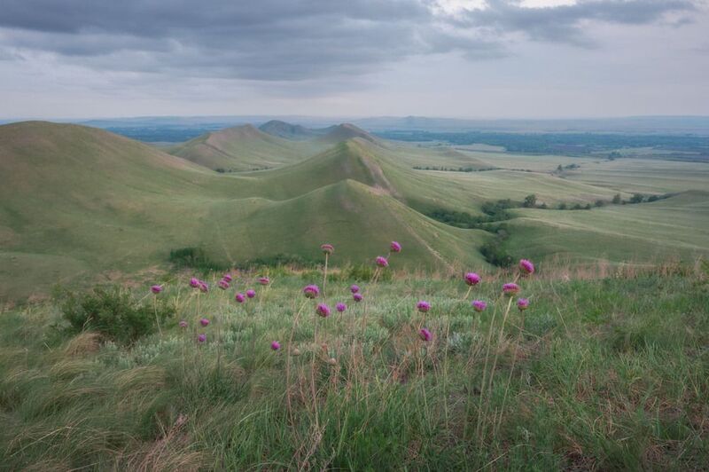 долгие горы, оренбуржье, степь, оренбургскаяобласть Долгие горыphoto preview
