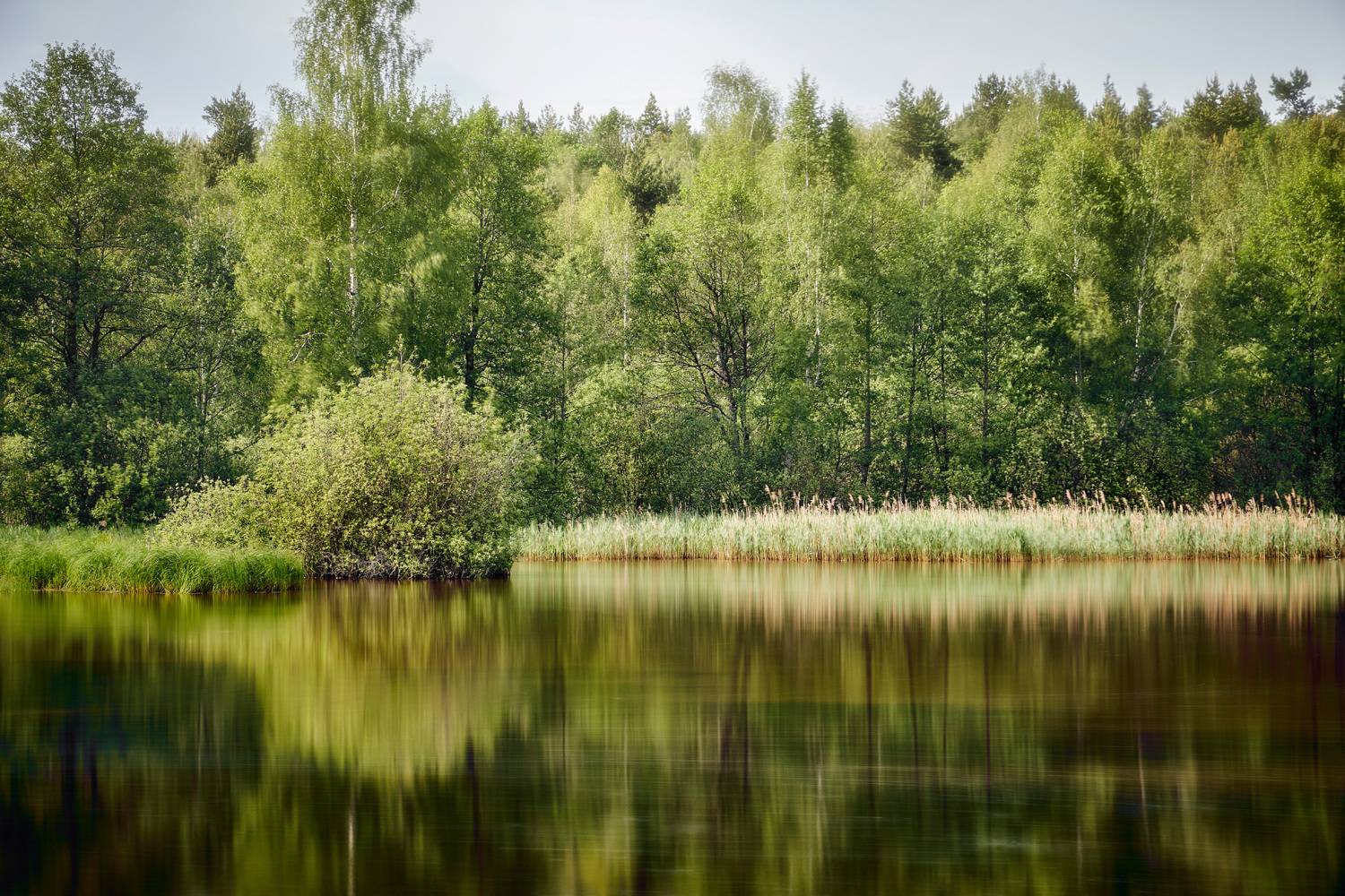 Нп лесном озере. Автор: Валерий Вождаев лес, озеро, отражения, Валерий Вождаев