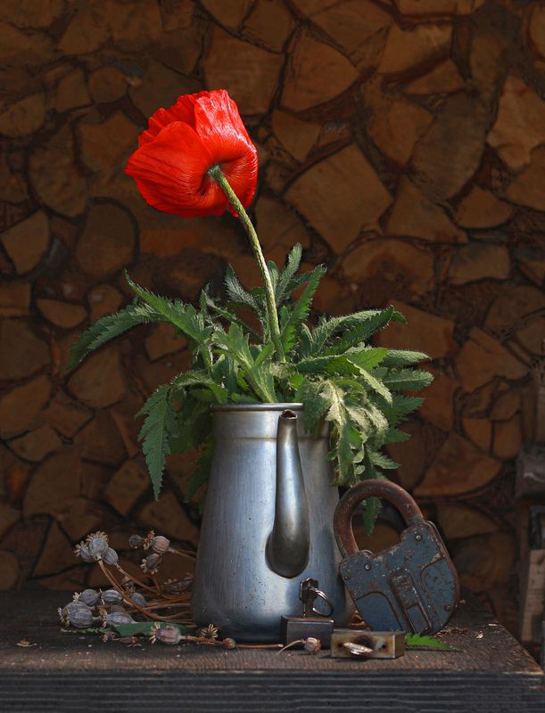 До свидания, весна, здравствуй, лето!photo preview