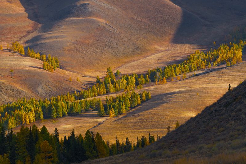 Россия, Алтай, пейзаж, горы Алтайский пейзажphoto preview