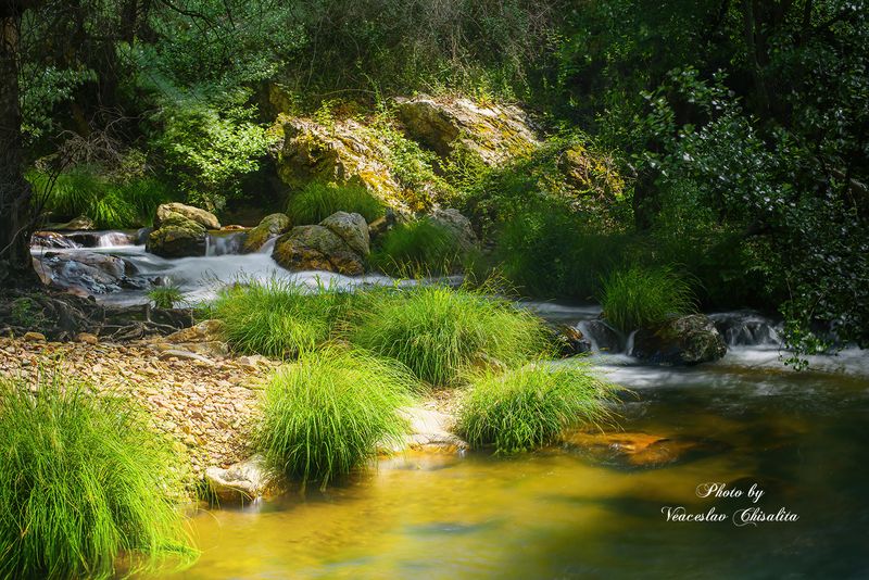 #природа #горныйручей #живописно #горы #поход #летовгорах #пейзаж #тишина #свежийвоздух #диканатура #поток #зелень #вода #горнаярека #природнаямагия #nature #mountainstream #greenescape #hikingadventures #naturevibes #wildwater #earthmood #sereneviews #la Шепот горной водыphoto preview