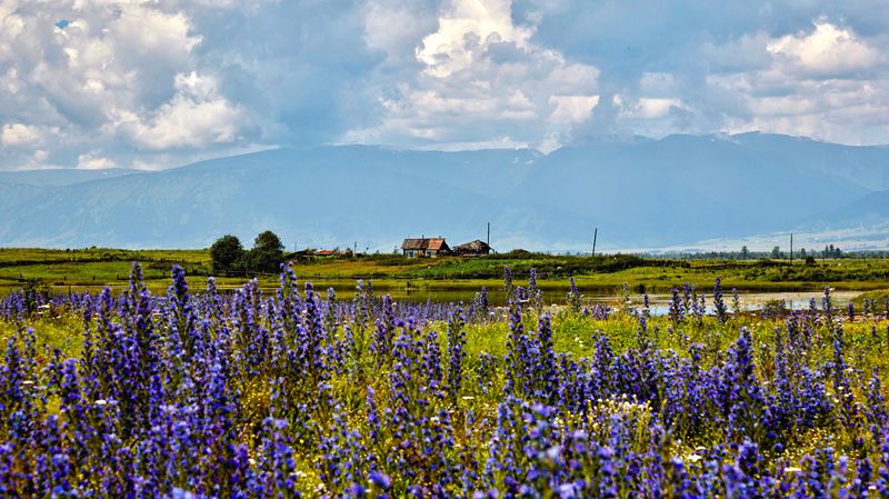 алтай, мульта Алтай - Жаркое летоphoto preview