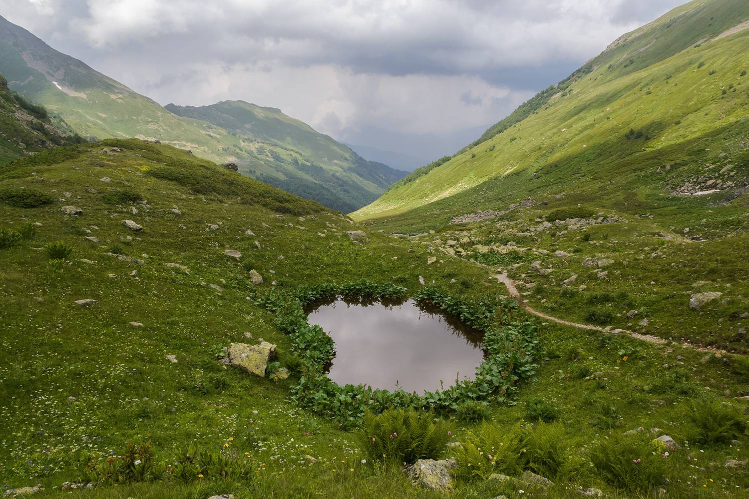 , Лысенко Сергей