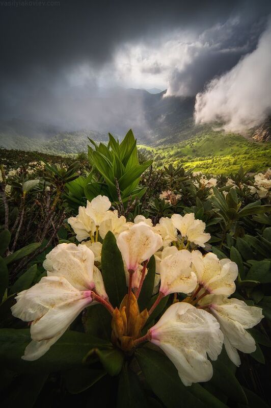 тхач, большой тхач, фототур, яковлевфототур, кавказ, адыгея Большой Тхачphoto preview