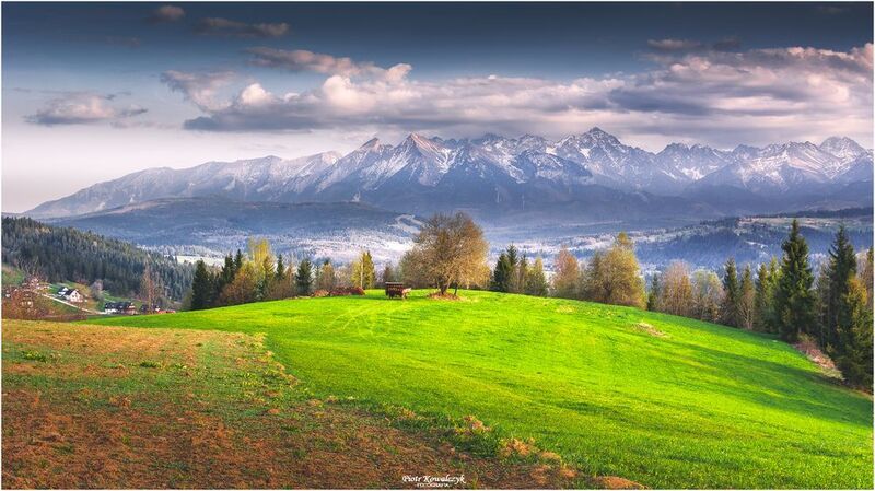 polska, góry, tatry, drzewo ***photo preview