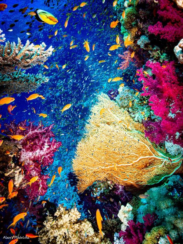 It’s a beautiful Life!photo preview