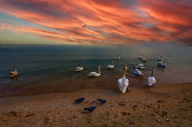 Море Черноеphoto preview