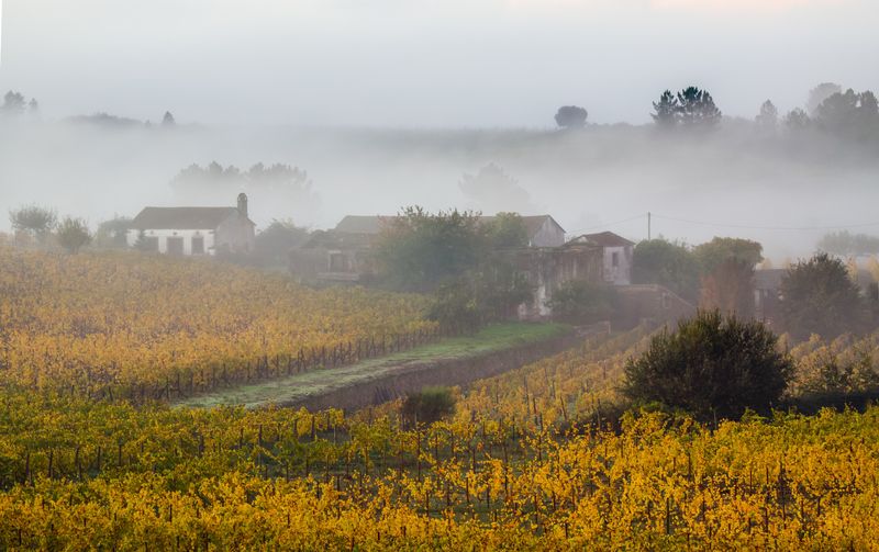 туман деревня утро пейзаж В тумане фото превью