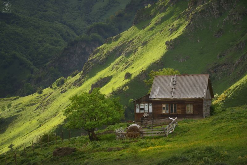 алания, северная осетия, кавказ, горы, лето, фототуры Аланский дворикphoto preview