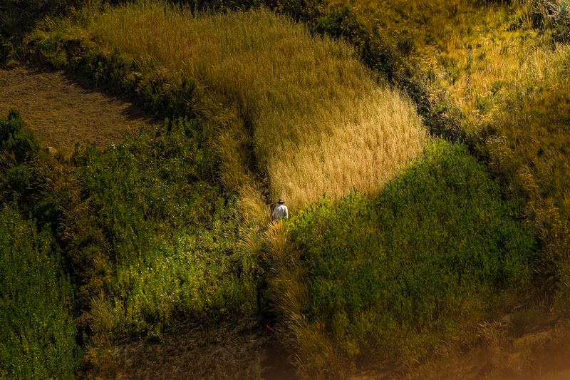 Trabajandophoto preview