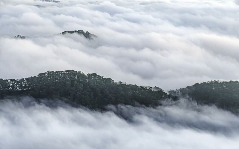 Clouds over pine hill in Dalat, Vietnam at dawnphoto preview