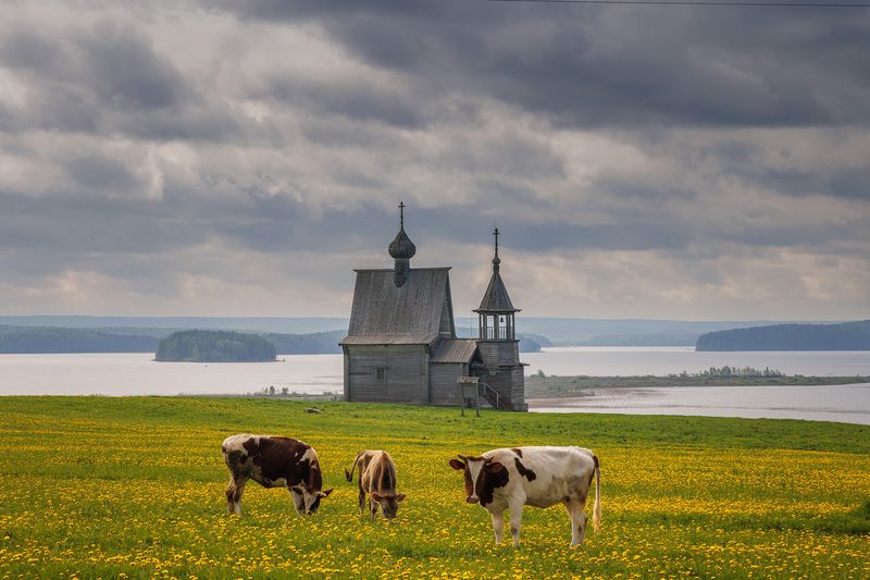 вершинина Вершинино фото превью