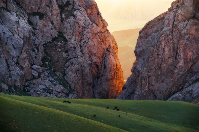 В тени ущельяphoto preview