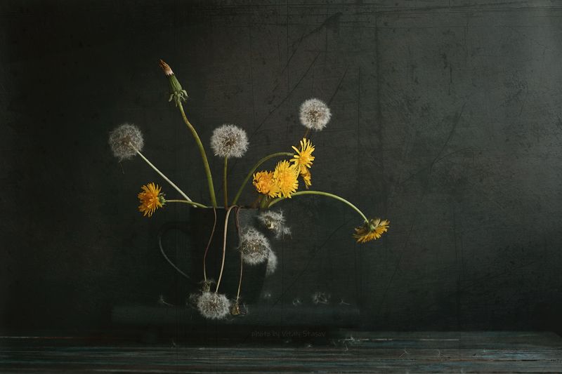 цветы, натюрморт, flowers, still life, flowers, time, sequence Череда времени..photo preview