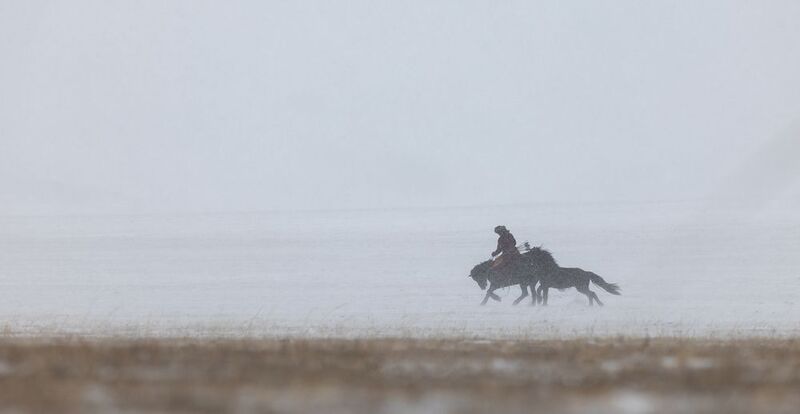 Ancient Mongolian Warrior Ancient Mongolian Warriorphoto preview