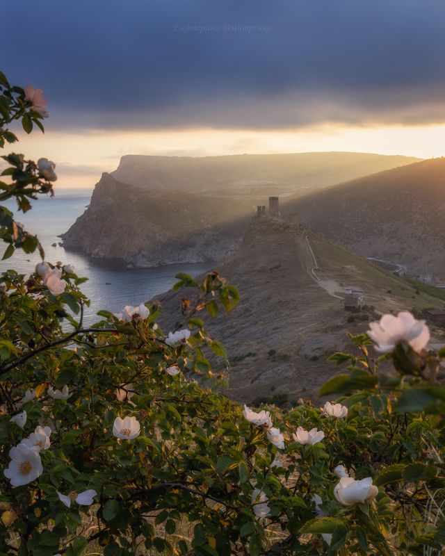 крым, севастополь, балаклава, море, горы, цветы, шиповник, горы, пейзаж, закат Последние лучи весныphoto preview