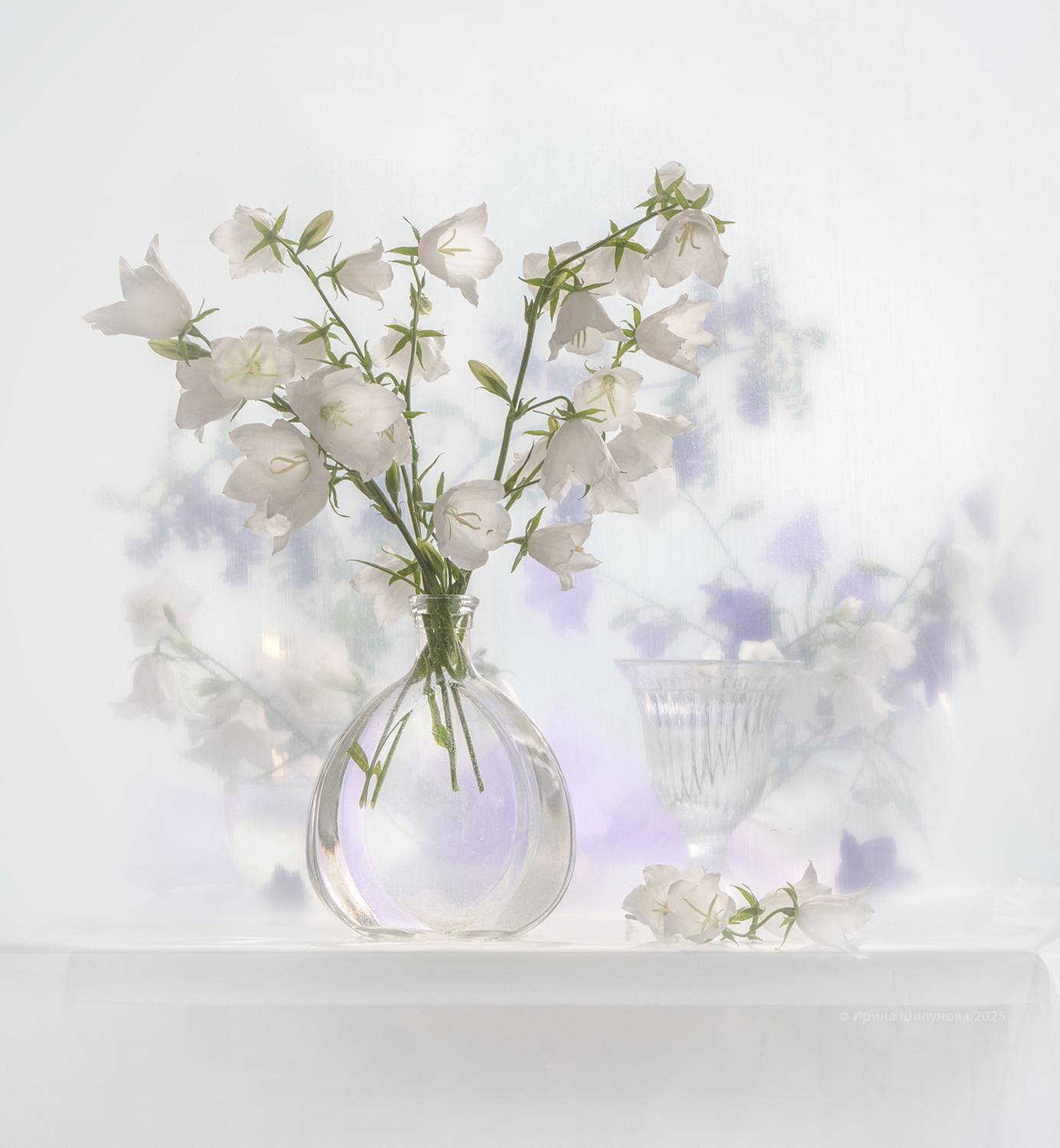 колокольчики, Шипунова Ирина