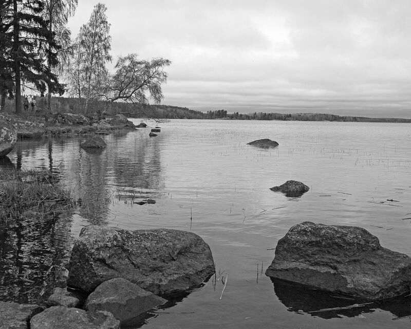 Монрепоphoto preview