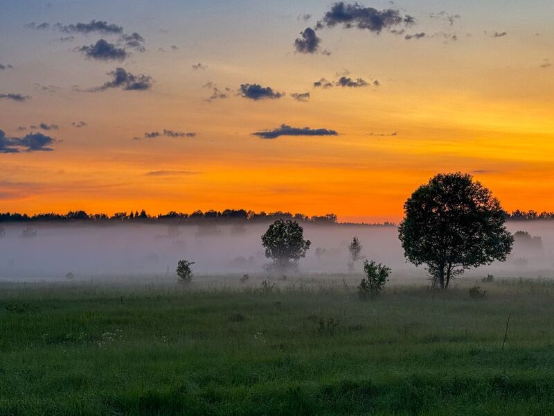 Закатный светphoto preview