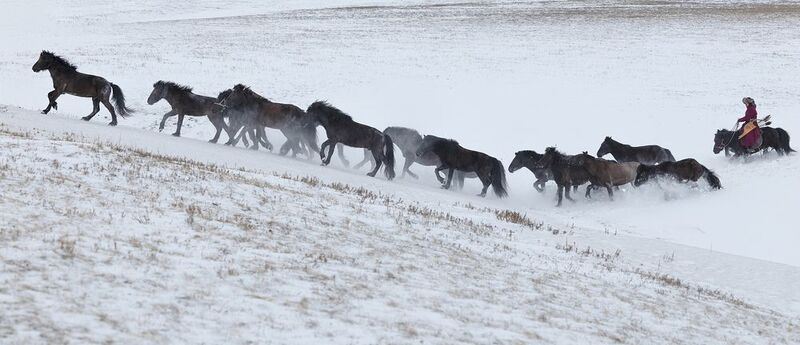 Ancient Mongolian Warrior Ancient Mongolian Warriorphoto preview
