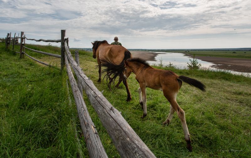 Нагулялись.photo preview