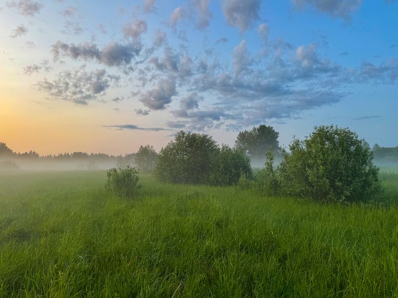 Летний вечерphoto preview