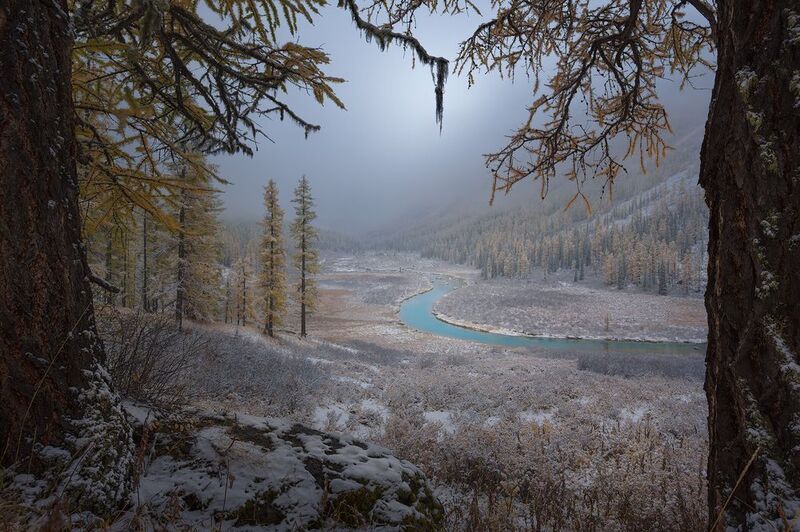 The Meanderingphoto preview