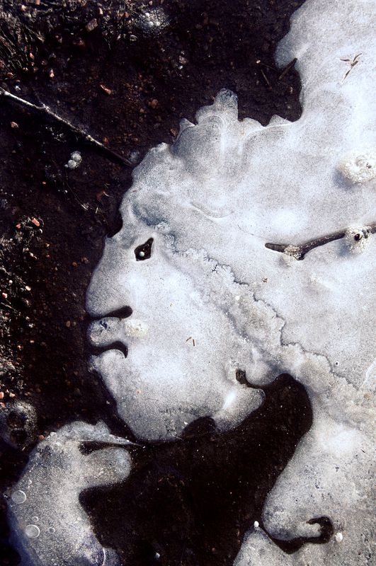 pareidolia Парейдолия (замёрзшая лужа)photo preview