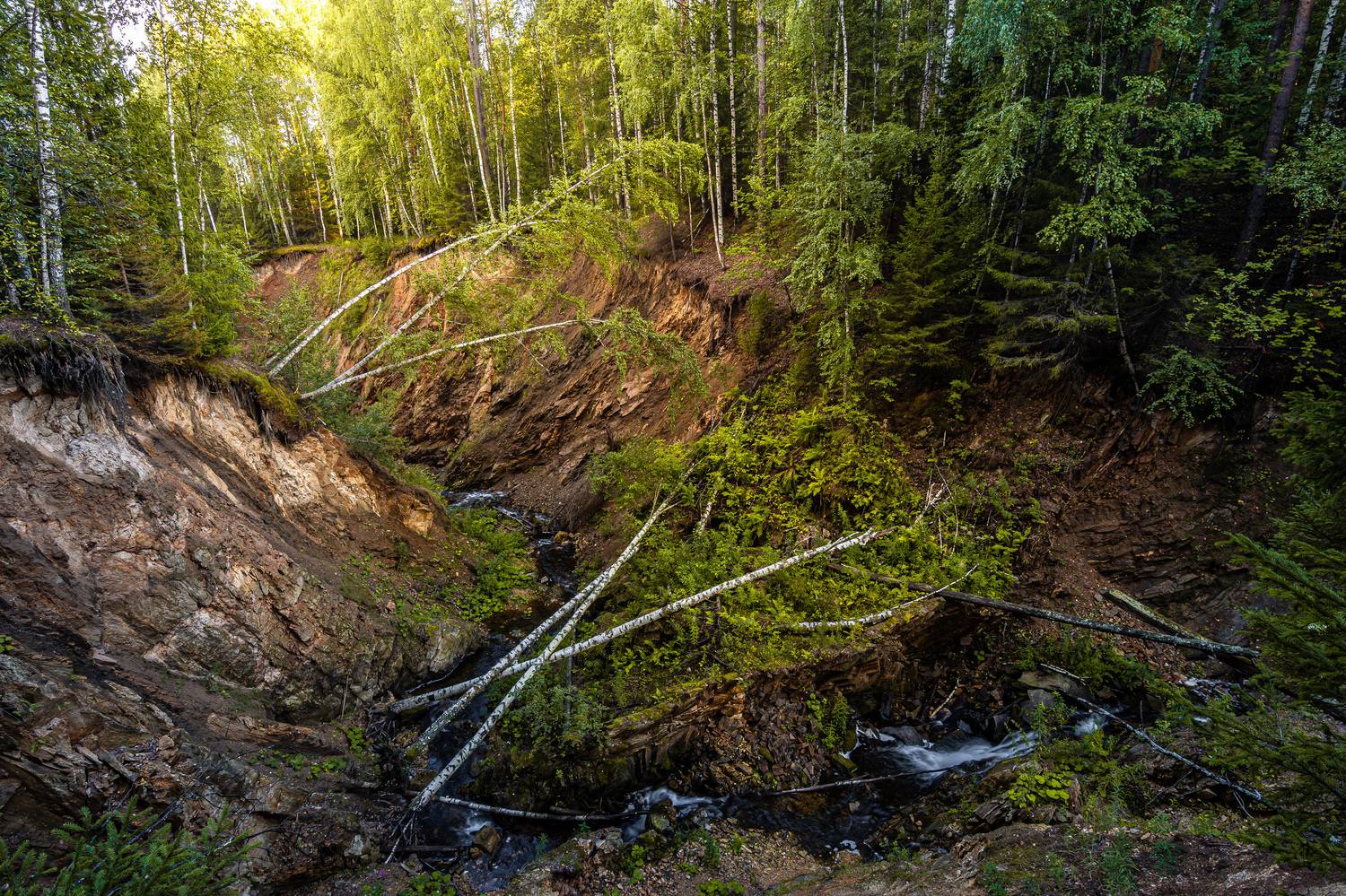 *******. Автор: Андрей Шарапов , Андрей Шарапов