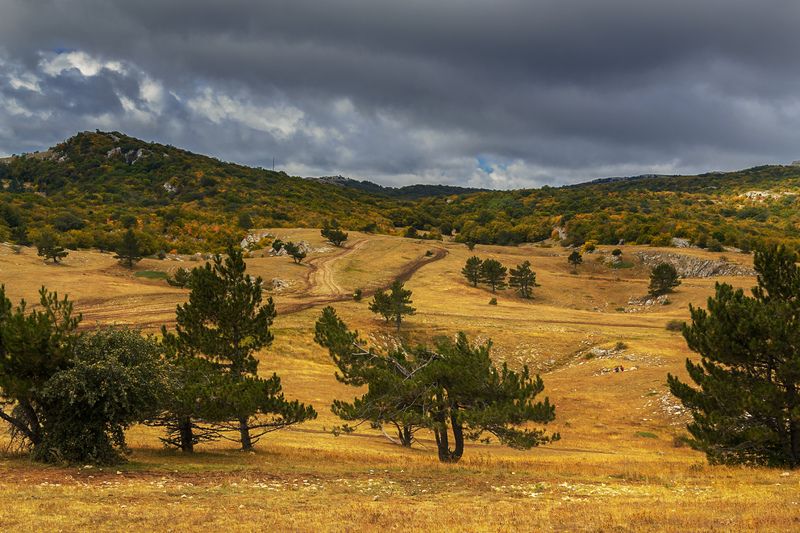 Осень на плато Ай-Петри.photo preview