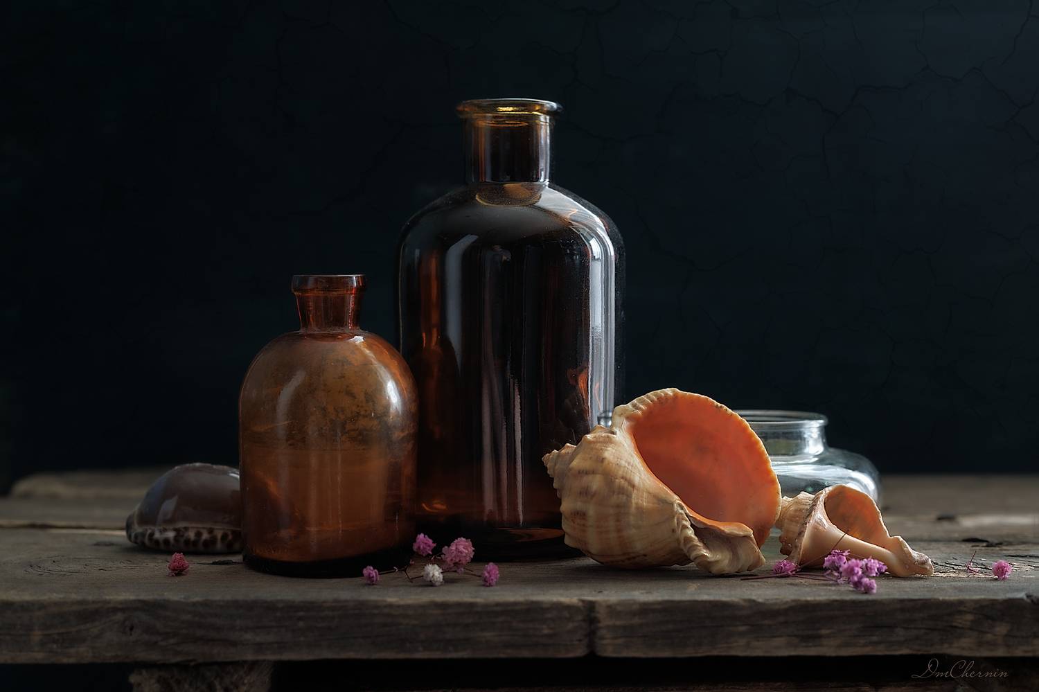 , Чернин Дмитрий