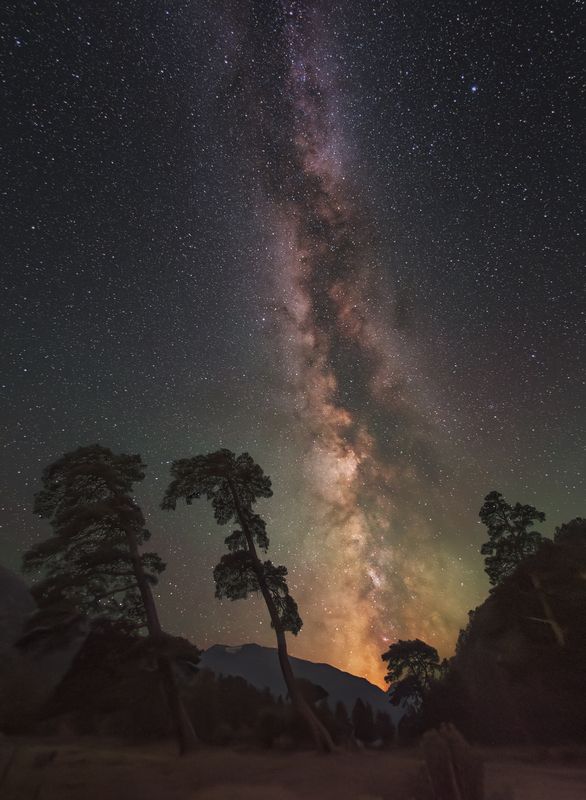 астрофото, астрофотография, ночь, астрономия, астропейзаж, кавказ, млечный путь, звезды, ночное небо, night, nightphotography, stars, milkyway, longexposure Сосны завалили горизонтphoto preview
