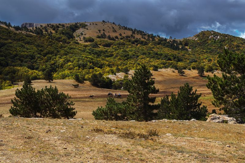 На плато Ай-Петри.photo preview