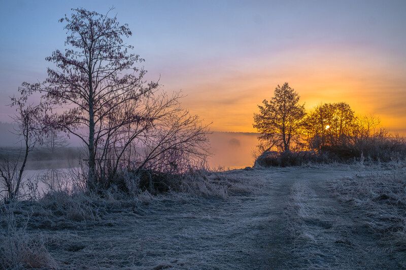весна рассвет озеро дорога иней природа пейзаж Утренние заморозки.photo preview