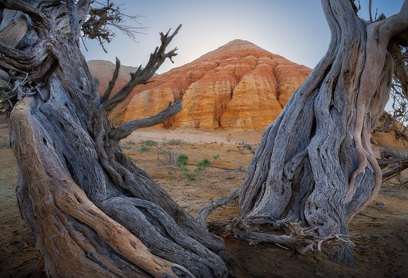 Парк Алтын-Эмель фото превью