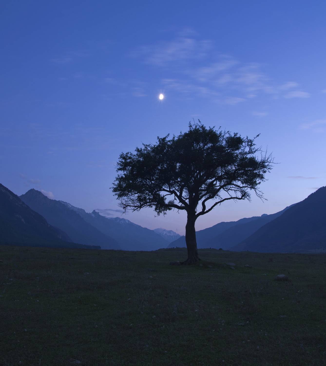 НОЧНОЙ СТРАЖ. Автор: Арсен Алабердов дерево, ущелье, луна, горы, туман, небо, страж, кавказ, теберда, домбай, карачаево-черкесия, Арсен Алабердов