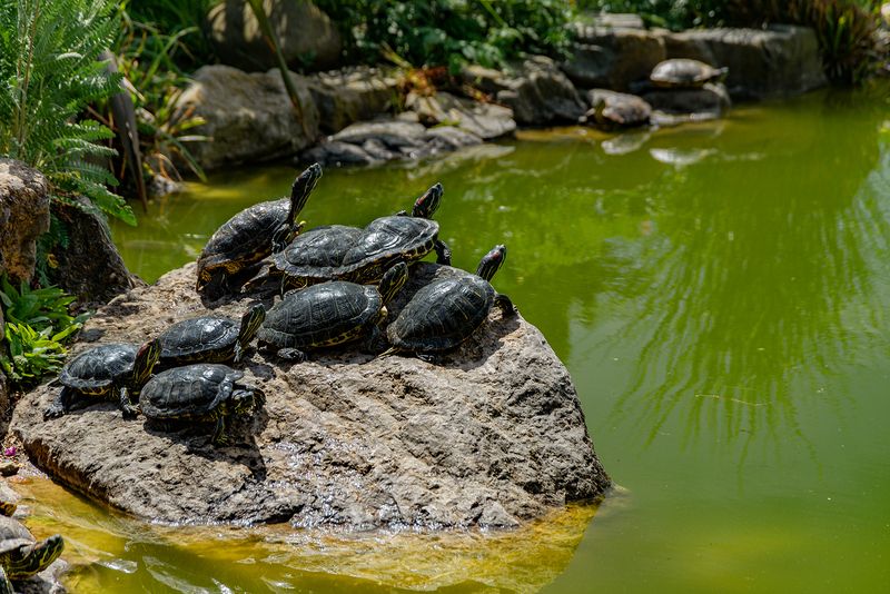 На вершинеphoto preview