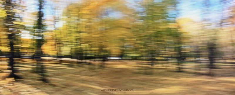 осень, палитра, головокружение, природа, небо, панорама Autumn vertigophoto preview