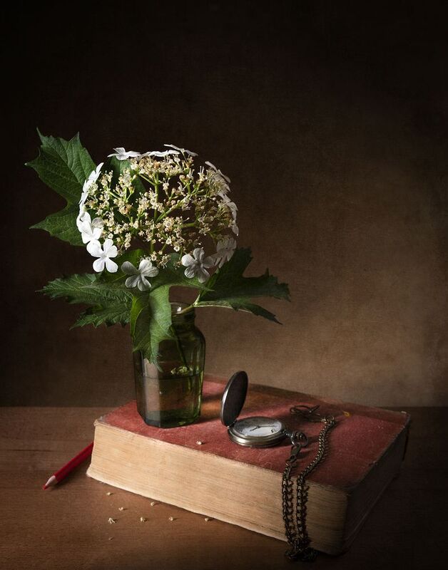 Калинаphoto preview