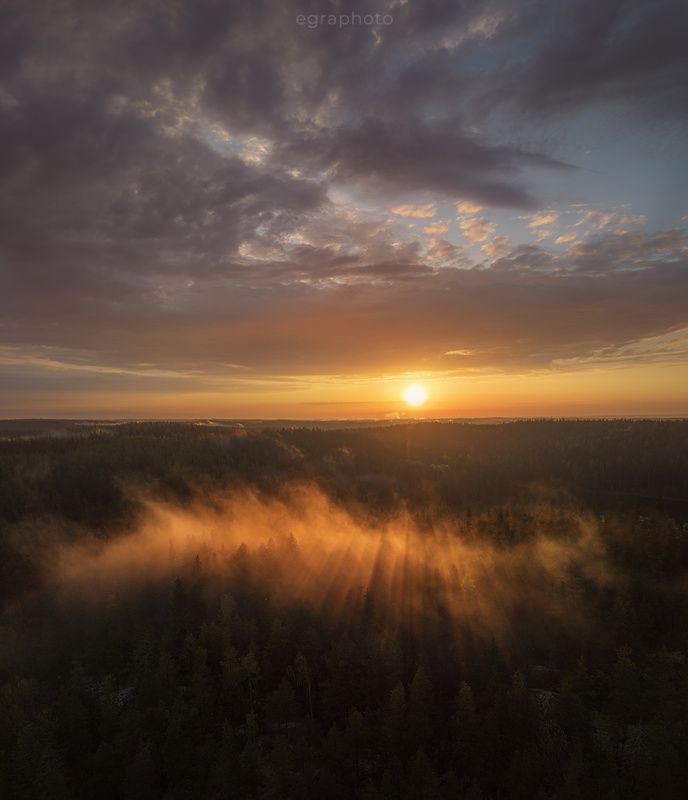 ленинградская область, россия, туман, хийси Хийсиphoto preview
