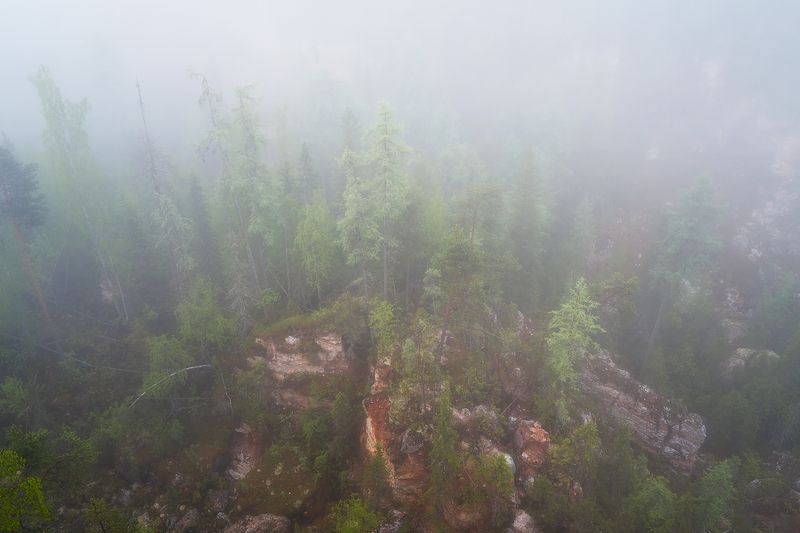 Туман ласкает ели, скалы спят…photo preview