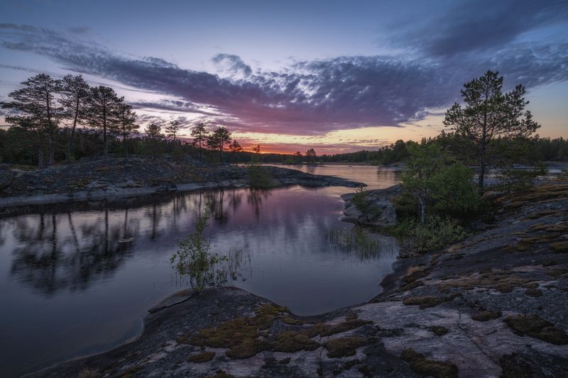 Вечерний сон ... photo preview