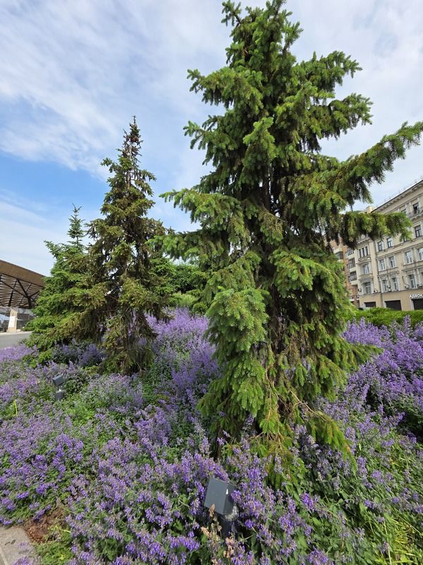 москва, павелецкая площадь Paveletskaya Plazaphoto preview