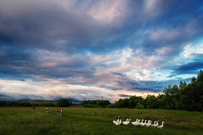 Всем пора домой фото превью