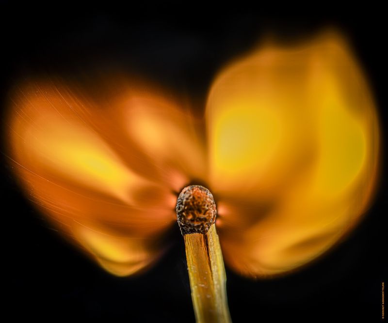 огонь, дым, вспышка, макро, этапы, отношения Этапы photo preview