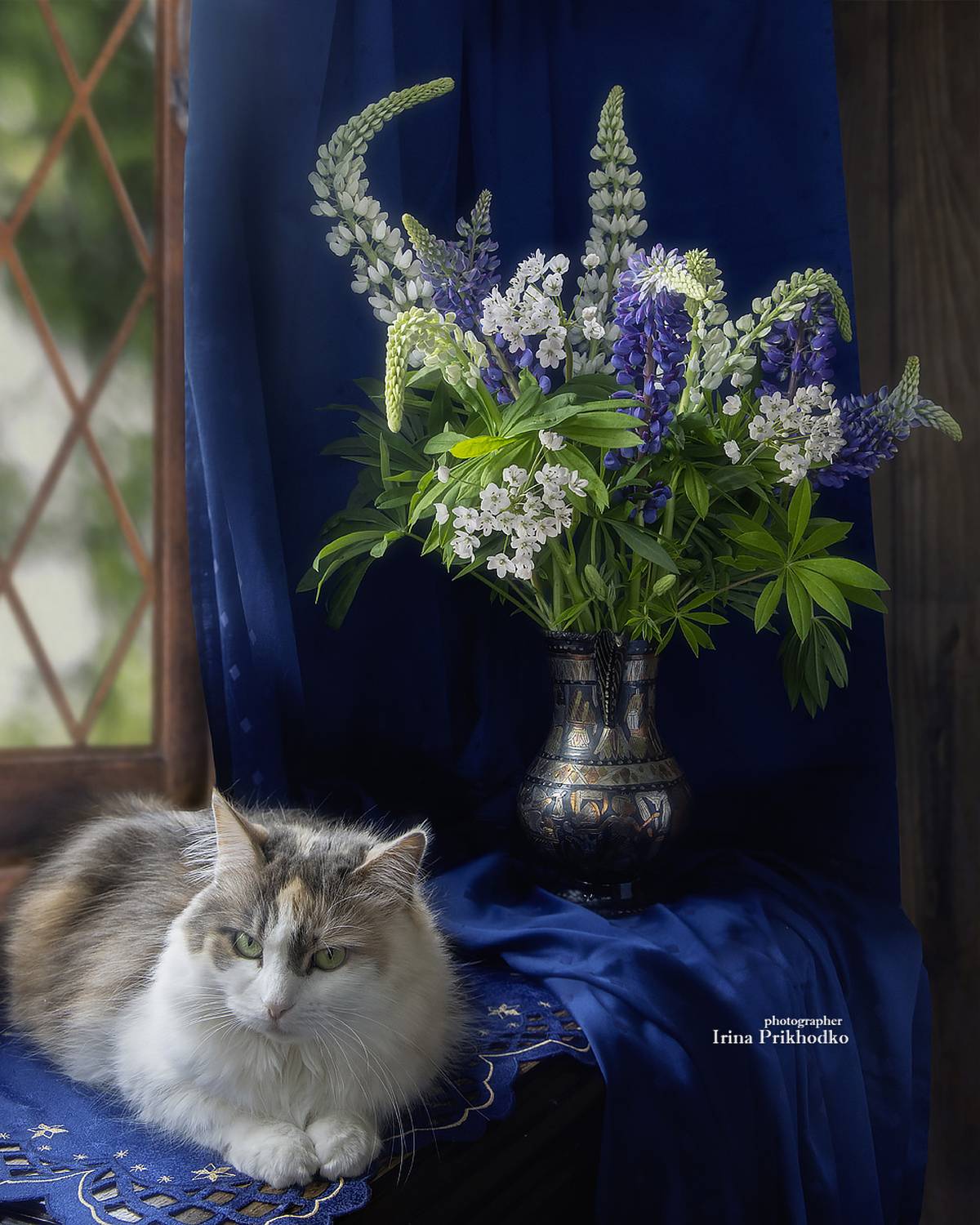 кошки, домашние животные, букеты, питомцы, трехцветные кошки, котопортрет, Приходько Ирина