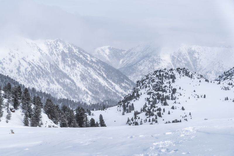 Зима, снег, Хамар-Дабан, Прибайкалье, закат На перевале Босанphoto preview